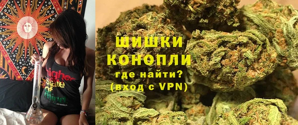 крисы Бугульма